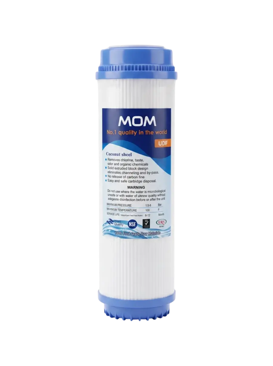 Box Carbon 10 Inch Mom